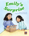 Emily's Surprise (Leveled Reader Purple Level 19) by RG RG, 9780544891937