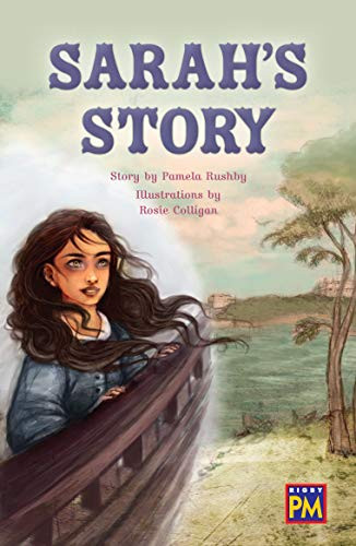 Sarah's Story (Leveled Reader Sapphire Level 29) by RG RG, 9780544893191