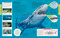 Ocean (A Visual Encyclopedia, 2nd Edition) by DK, 9780593969502