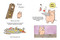Piggle the Pig: Party Problems by Dudolf, Dudolf, 9780593691649
