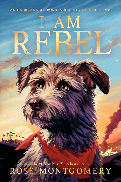 I Am Rebel by Ross Montgomery, 9781536246803