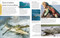 Ocean (A Visual Encyclopedia, 2nd Edition) - 9780593969496 by DK