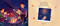 Lights at Night by Tasha Hilderman, Maggie Zeng, 9781774881149