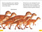 DK Super Readers Level 2 Spanish Translation Dinosaur Dinners - Cena para un dinosaurio - 9780593966631 by DK