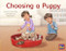 Choosing a Puppy (Leveled Reader Yellow Fiction Level 7 Grade 1) by HMH HMH, 9780358121633