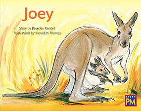 Joey (Bookroom Package Green Fiction Level 14 Grades 1-2) by HMH HMH, 9780358184744