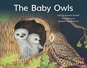 Baby Owls, The (Bookroom Package Red Fiction Level 4 Grade 1) by HMH HMH, 9780358184980