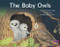 Baby Owls, The (Bookroom Package Red Fiction Level 4 Grade 1) by HMH HMH, 9780358184980