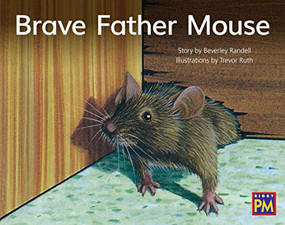 Brave Father Mouse (Bookroom Package Yellow Fiction Level 6 Grade 1) by HMH HMH, 9780358185178