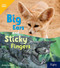 Big Ears and Sticky Fingers (Leveled Reader Grade 3) by HMH HMH, 9780358262855