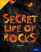 Secret Life of Rocks (Leveled Reader Grade 4) by HMH HMH, 9780358263029