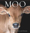 Moo (A book of happiness for cow lovers) - 9781922539052 by Angus St. John Galloway, 9781922539052