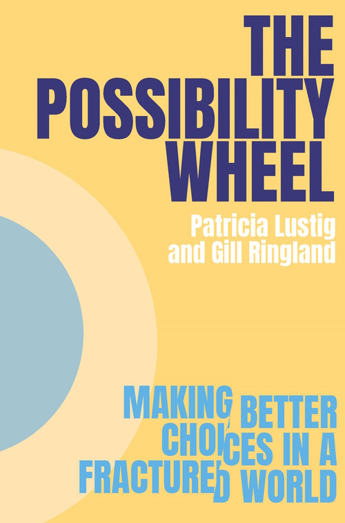 The Possibility Wheel (Making better choices in a fractured world) by Patricia Lustig, Gill Ringland, 9781917251051