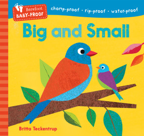 Barefoot Baby-Proof: Big and Small by Barefoot Books, Britta Teckentrup, 9798888593110