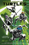 Teenage Mutant Ninja Turtles, Vol. 1: Return to New York by Jason Aaron, Joëlle Jones, Rafael Albuquerque, Cliff Chiang, Darick Robertson, 9798887243061