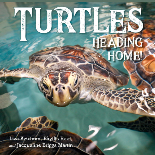 Turtles Heading Home! by Liza Ketchum, Jacqueline Martin, Phyllis Root, 9781623545864