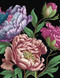 Peonies Journal (Lined Pages and Sprayed Edges) by Editors of Chartwell Books, 9780785847007