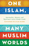 One Islam, Many Muslim Worlds (Spirituality, Identity, and Resistance across Islamic Lands) by Raymond William Baker, 9780199846474