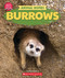 Burrows (Learn About: Animal Homes) by Claire Caprioli, 9781546177012