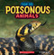 Poisonous Animals (Wild World: Top 10) by Brenna Maloney, 9781546177456
