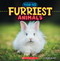 Furriest Animals (Wild World: Top 10) by Brenna Maloney, 9781546177487
