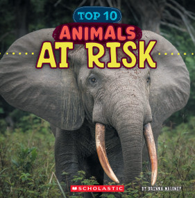 Animals at Risk (Wild World: Top 10) by Brenna Maloney, 9781546177517
