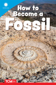 How to Become a Fossil by Anne Lamb, 9798765968932