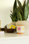 A DOPO 8 OZ HANDPAINTED "SUN" CERAMIC CANDLE - ORANGE BLOSSOM, AD0807