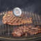 "BBQ lovers kit" Meat Tenderizer & thermometer", GEN779