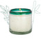 LA PLAYA 9 OZ BUBBLE GLASS WITH GREEN RIM - CACTUS FLOWER BAMBOO, LP0905