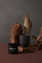 PARKS 6 OZ YOSEMITE BLACK GLOSSY TIN - COTTONWOOD + OAK, PK0601