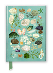 Katherine Quinn: Beachcombing (Foiled Journal) by Flame Tree Studio, 9781835625255