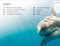 DDK Super Readers Level 4 French Translation Shark Attack - Danger : Requins by DK, 9780593968246