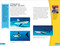 DK Super Readers Level 4 French Translation Shark Attack - Danger : Requins - 9780593968253 by DK