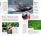 DK Costa Rica by DK Travel, 9780241738504