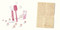 The Day the Crayons Made Friends by Drew Daywalt, Oliver Jeffers, 9780593622360