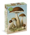 John Derian Paper Goods: Mushrooms 1,000-Piece Puzzle by John Derian, 9781648295058