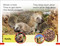 DK Super Readers Pre-Level A Bed for the Winter - 9798217125494 by DK
