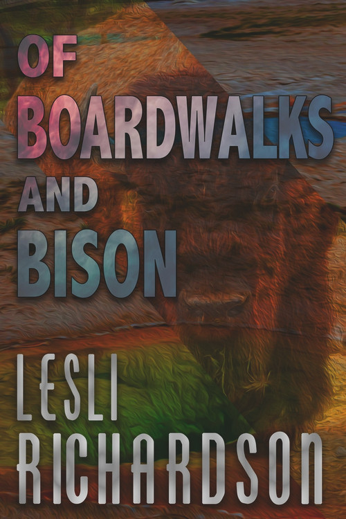 Of Boardwalks and Bison by Lesli Richardson, 9781393405122