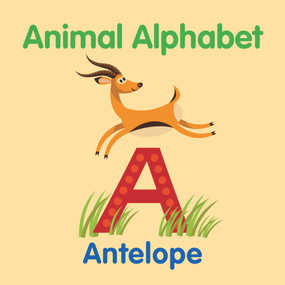 Animal Alphabet - 9781760791063 by New Holland Publishers, 9781760791063