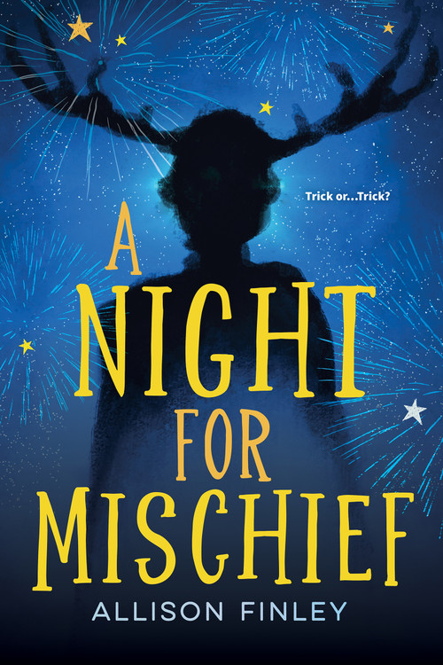 A Night for Mischief by Allison Finley, 9781459840867