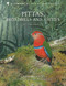 Pittas, Broadbills and Asities (Second Edition) by Frank Lambert, Martin Woodcock, 9781472905697