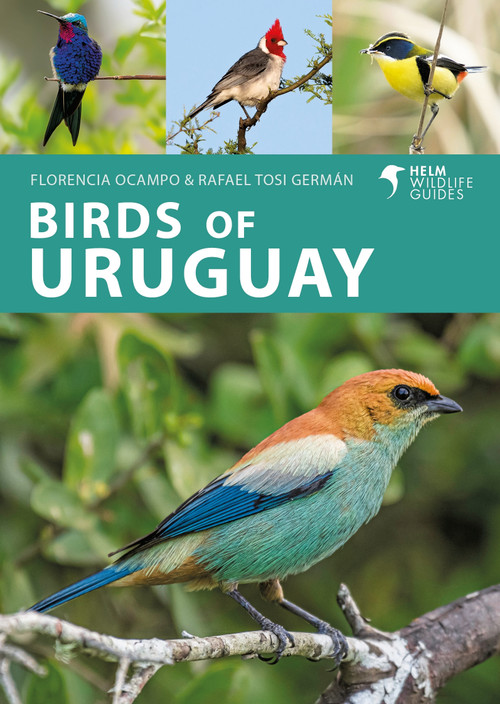Birds of Uruguay by Florencia Ocampo, Rafael Tosi Germán, 9781399406734