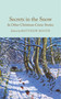 Secrets in the Snow & Other Christmas Crime Stories by Matthew Booth, Matthew Booth, 9781035051465