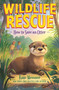 How to Save an Otter by Kate Messner, 9781547616428