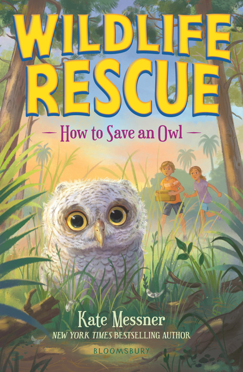 How to Save an Owl by Kate Messner, 9781547616466