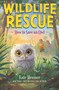How to Save an Owl by Kate Messner, 9781547616466