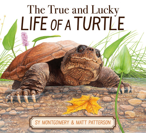 The True and Lucky Life of a Turtle by Sy Montgomery, Matt Patterson, 9780063325166