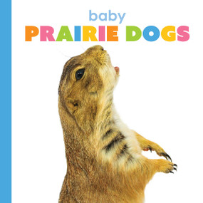Baby Prairie Dogs by Kim Thompson, 9781628329551