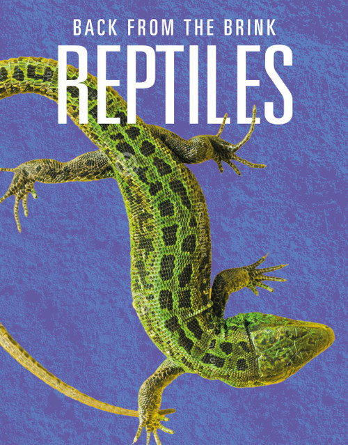 Reptiles: Back from the Brink by Joanne Mattern, 9781644668320